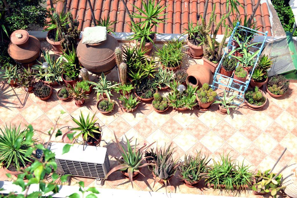 Aiolos House Skiathos Town Ngoại thất bức ảnh
